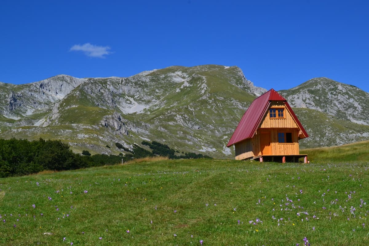 Tiny House Shell