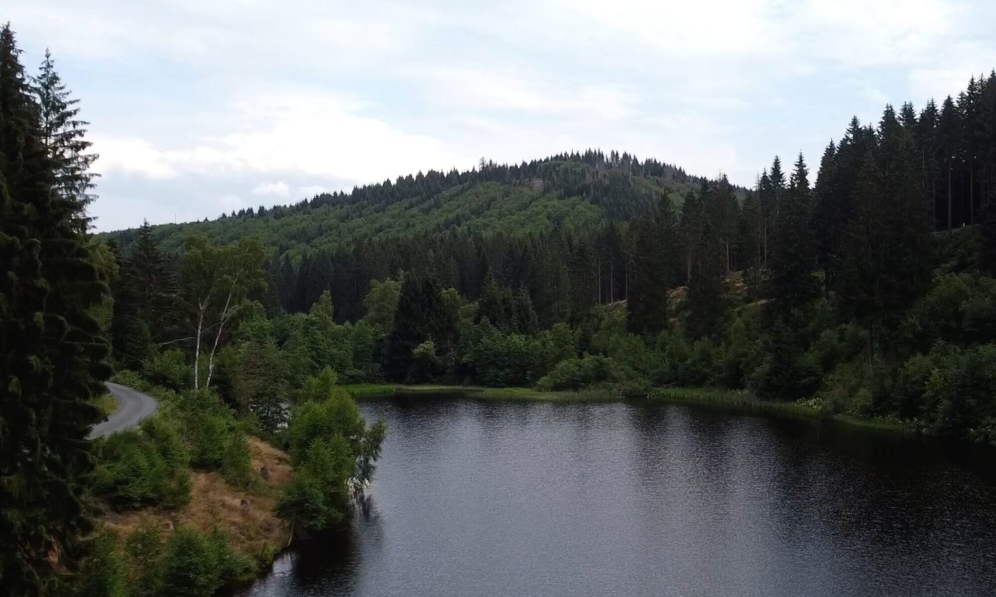 River in a Forest for AriBnb